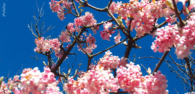 Zeit neu denken – gerade jetzt